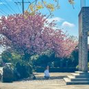 선흘1리 경로당 이미지