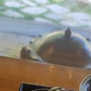 춘운서옥 이미지