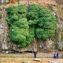 소요산장어유지 | 그리움이 남는 선운산의 秋景