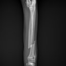 24시 핸즈동물의료센터 이미지