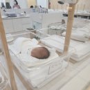 엘산부인과의원 | 광주 더엘 산후조리원 첫째에 이어 둘째까지 선택한 이유