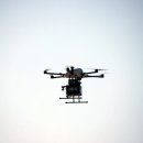 소나무펜션형민박 이미지