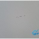 동양크리닝 이미지