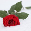 롯데리아(부산문현) 이미지