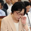 배정현 축산 이미지