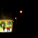 흑석 노루벌길 이미지