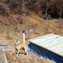 제천종합동물병원 이미지
