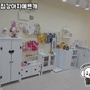 우리집강아지예쁘개 이미지