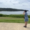 뉴캐슬마트 | [노랑풍선 시드니/뉴캐슬/포트스테판+돌핀크루즈] 호주 5박 7일 4일차 후기