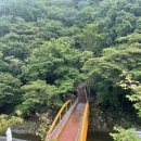 회두민박 이미지