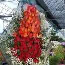 백송이꽃화원 이미지