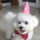 베이컹리 이미지