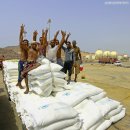 렌즈나라 이미지