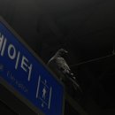세창상회 이미지
