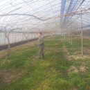 옥신농장 이미지