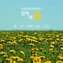 안심이리조트 이미지
