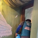 대이동주민센터 네이버블로그