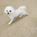 더올리비에르 이미지