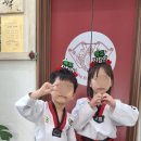 경희대 키즈 태권도장 이미지