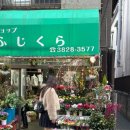 일본 도쿄 여행 넷째 날: 도쿄타워 사냥꾼