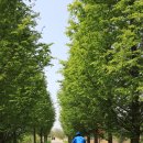 황구지길 이미지