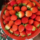 혜원상회 이미지