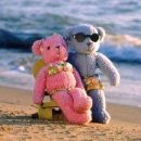 Toy Shop 네이버블로그