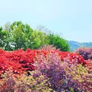 완산-163 이미지