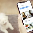 (주)피플펫 이미지