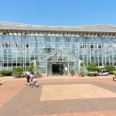 연수꽃식물원 이미지