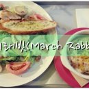 March rabbit(마치 래빗) 이미지