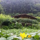 산골풍경
