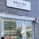 엘레강스펫샵 이미지