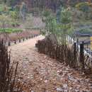 현대아파트옆통행로 이미지