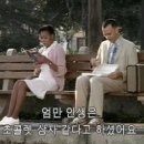 여우깍쟁이 이미지