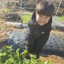 두현농장 이미지