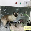 김병규동물병원 이미지