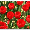 잔치마을 이미지