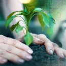 VISION 태양광발전소 이미지