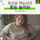 유산균 먹는시간 및 효능 높이는 추천 방법 후기
