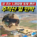 힐민박