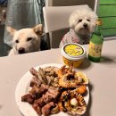 바우와우 이미지