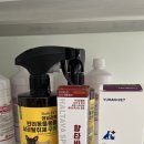 행운약국 이미지