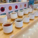 매스커피광주첨단점 | 광주 첨단 샐러드바 무제한 샤브샤브 '샤브올데이 광주첨단점' 방문 후기