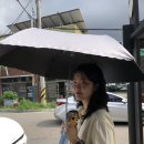 남해당구장 이미지