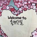 비앤더블유 이미지