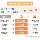 복스런 이미지