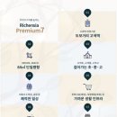 리첸시아 이미지