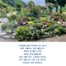 꽃잎담아 이미지