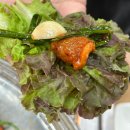 명지농장 | 합정한식 합정역맛집 마포오리농장 오리주물럭 대존맛탱 후기!